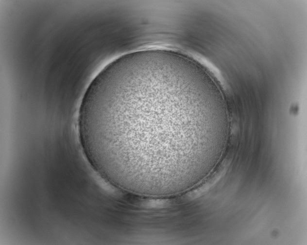 X0000102381423200808151847