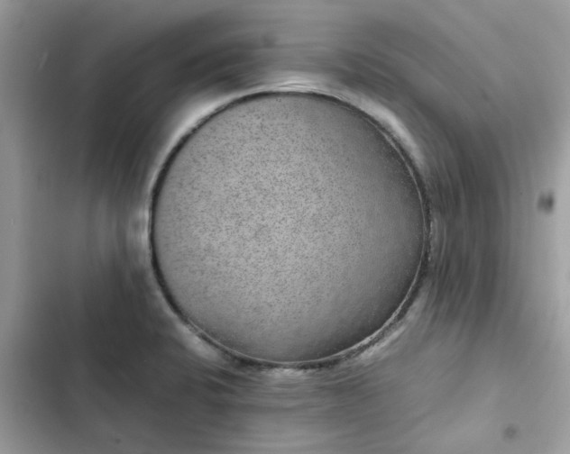 X0000102381424200808151847