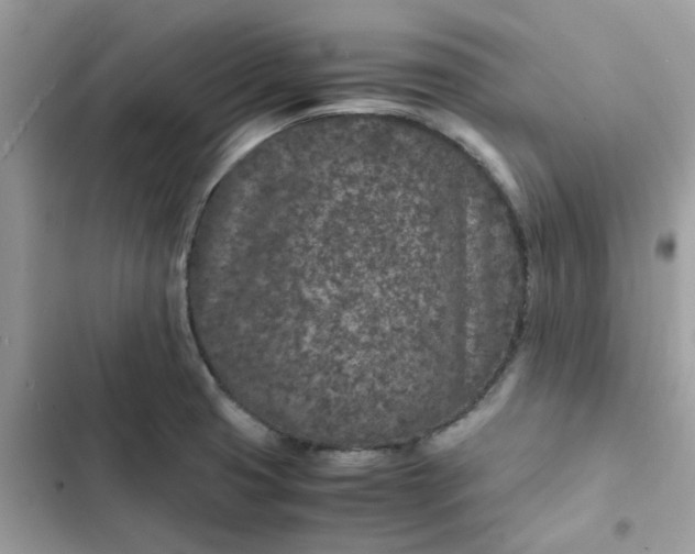 X0000102381425200808151847