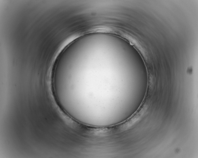 X0000102381426200808151847