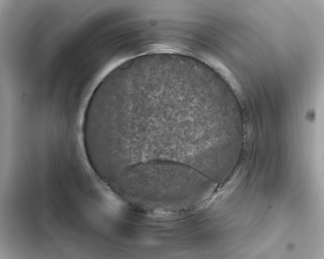 X0000102381427200808151847