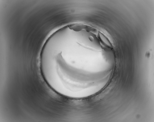 X0000102381428200808151848