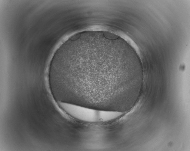 X0000102381429200808151848