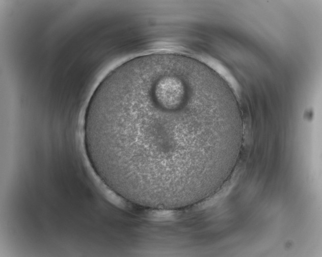 X0000102381431200808151848