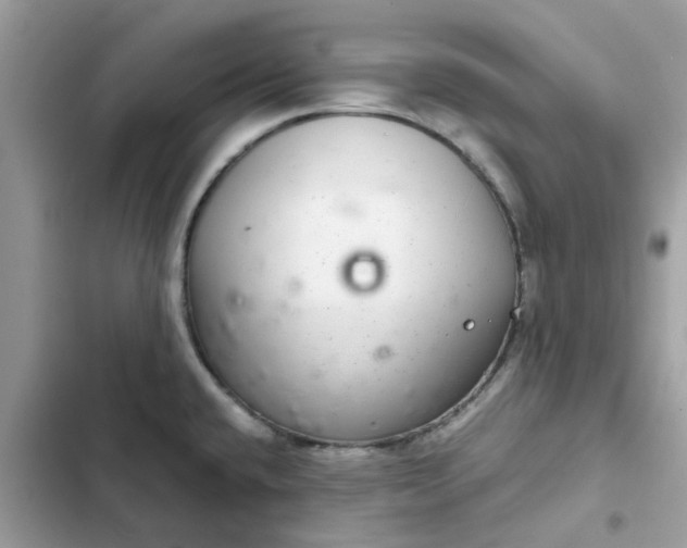 X0000102381432200808151848