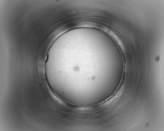 X0000102381433200808151848