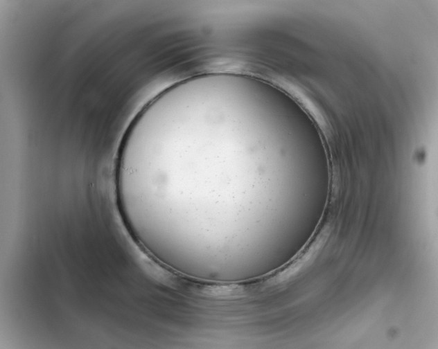 X0000102381434200808151848