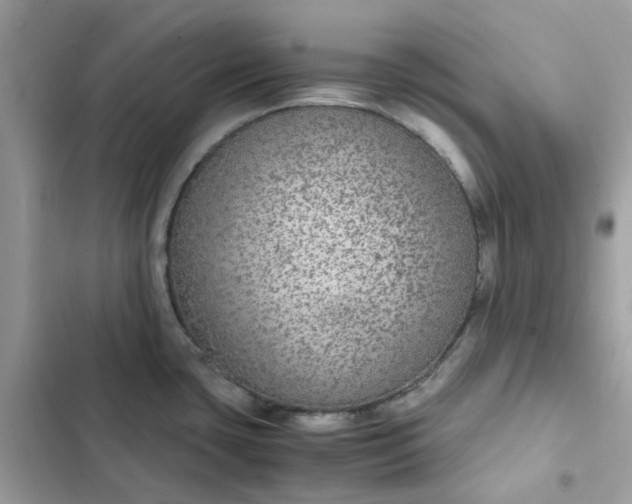 X0000102381435200808151848