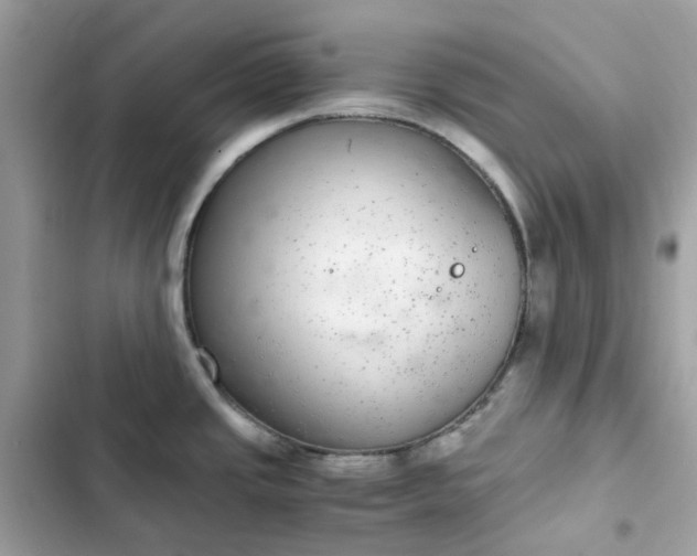 X0000102381437200808151848