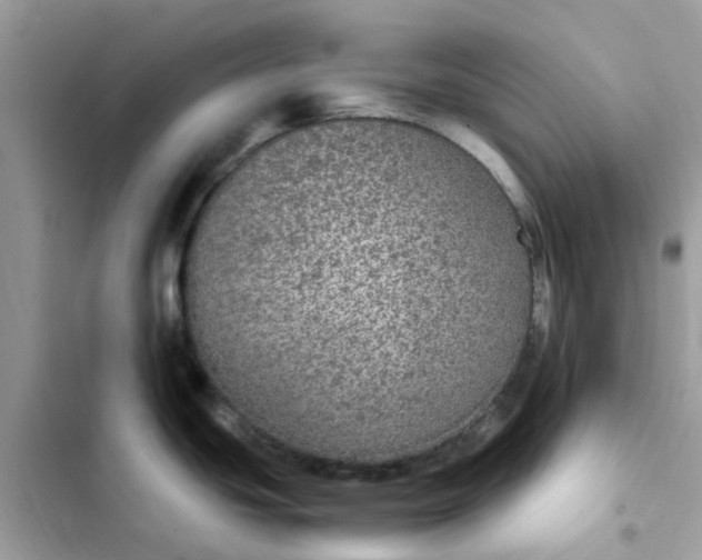 X0000102381439200808151848