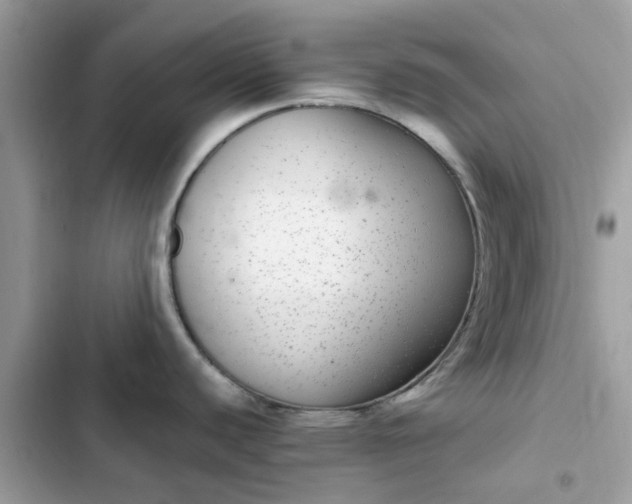 X0000102381440200808151848