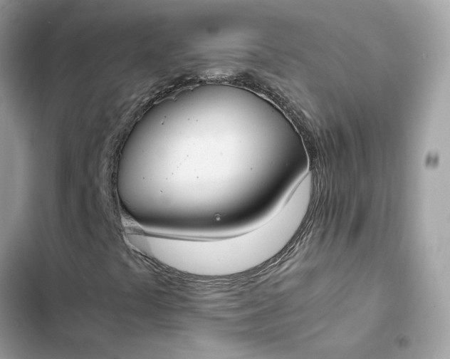 X0000102381441200808151847