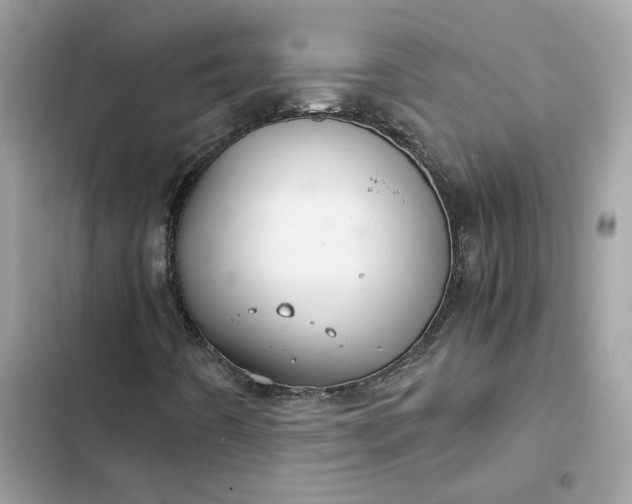 X0000102381442200808151847