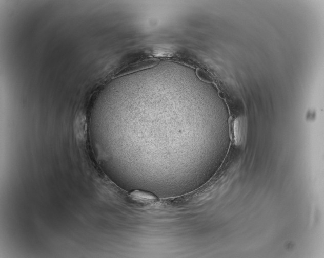 X0000102381443200808151847