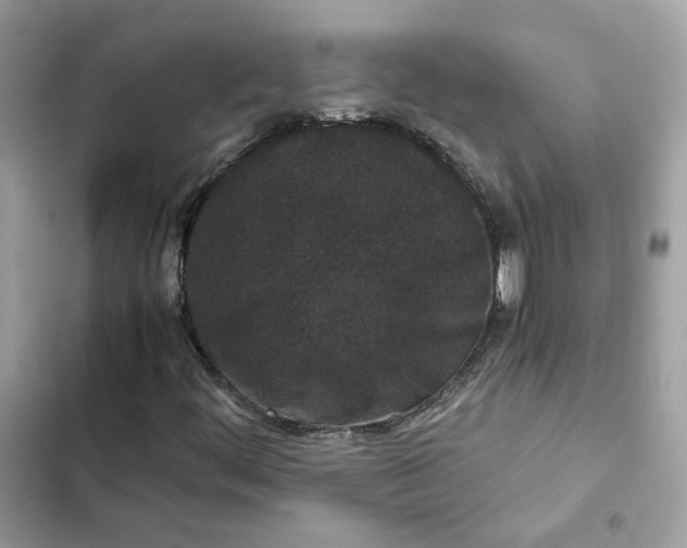 X0000102381444200808151847