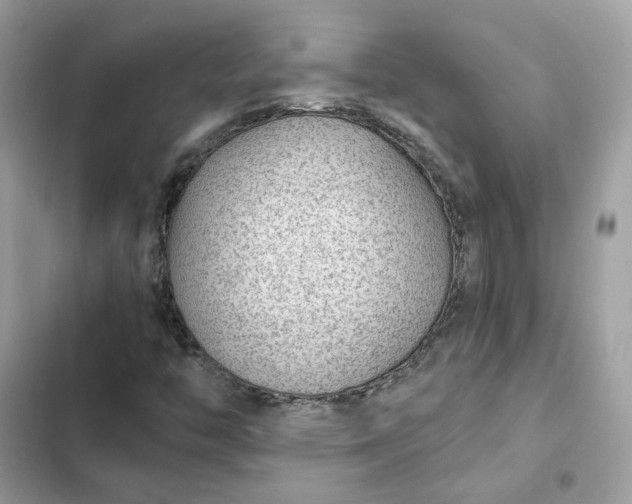 X0000102381446200808151847