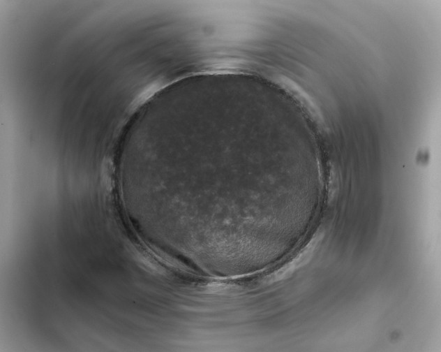 X0000102381449200808151847