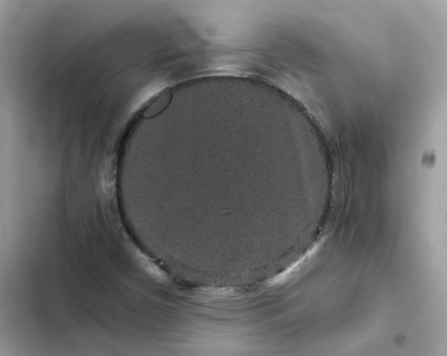 X0000102381450200808151847