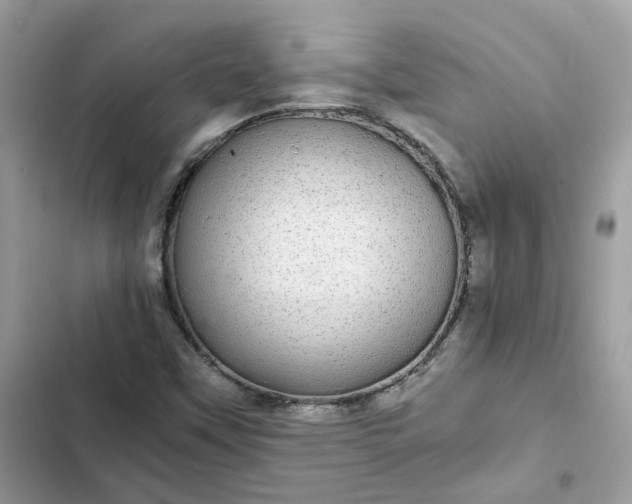 X0000102381451200808151847