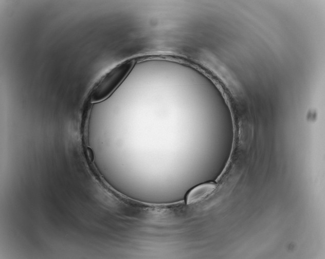 X0000102381452200808151847