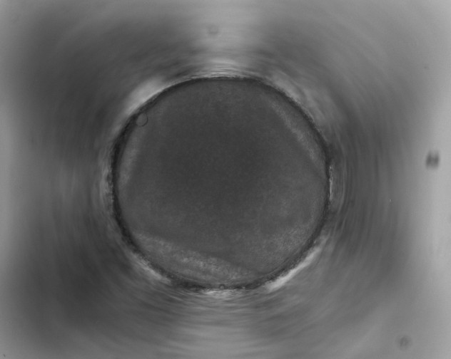 X0000102381453200808151847