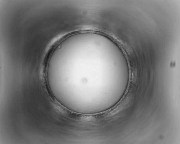 X0000102381454200808151847