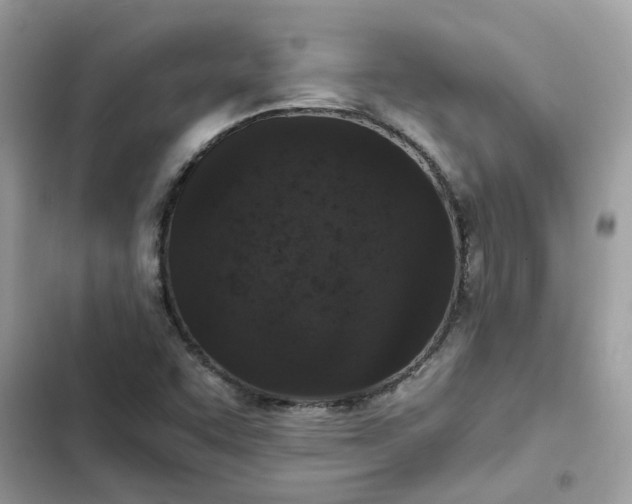 X0000102381455200808151847