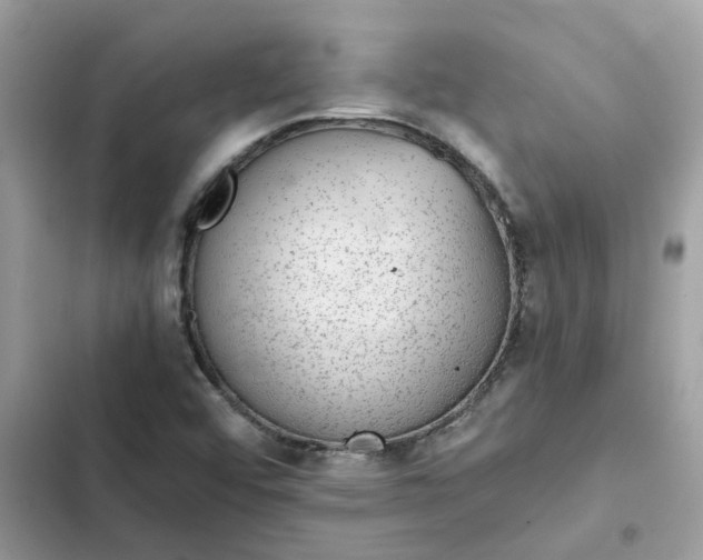 X0000102381456200808151847