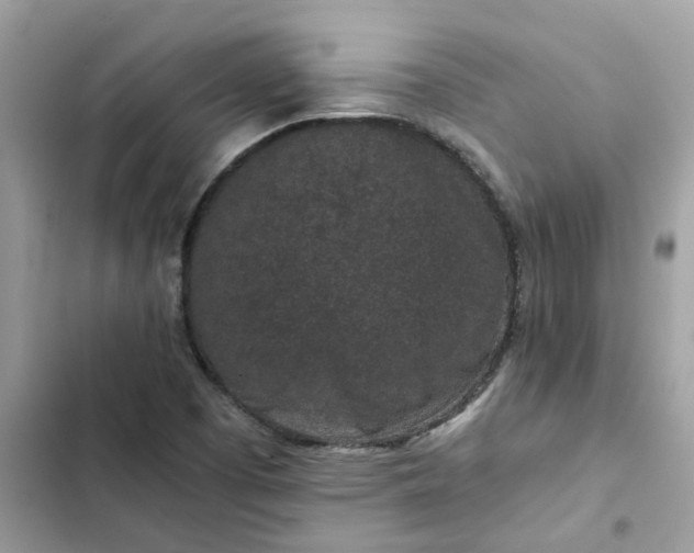 X0000102381457200808151847