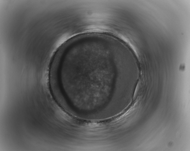 X0000102381459200808151847