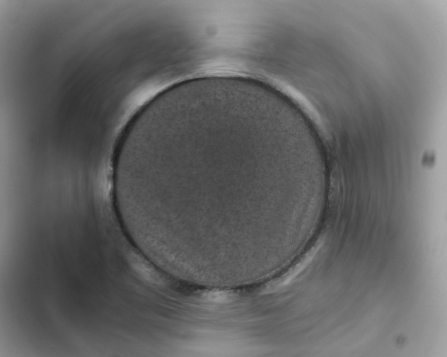 X0000102381461200808151847