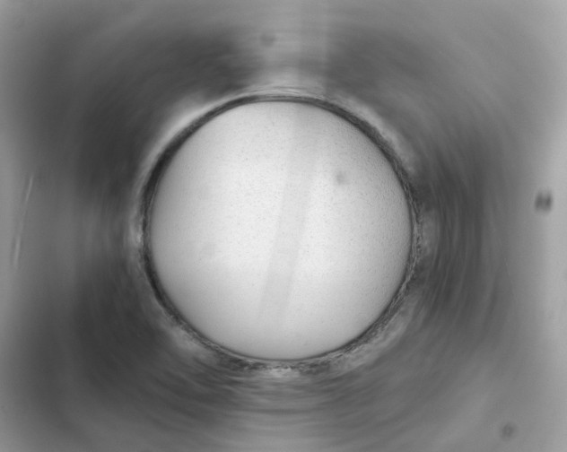 X0000102381462200808151847