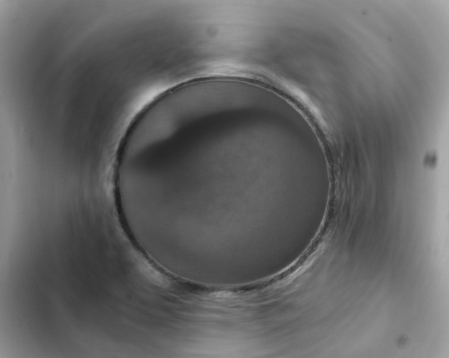 X0000102381463200808151847