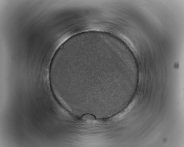 X0000102381465200808151847