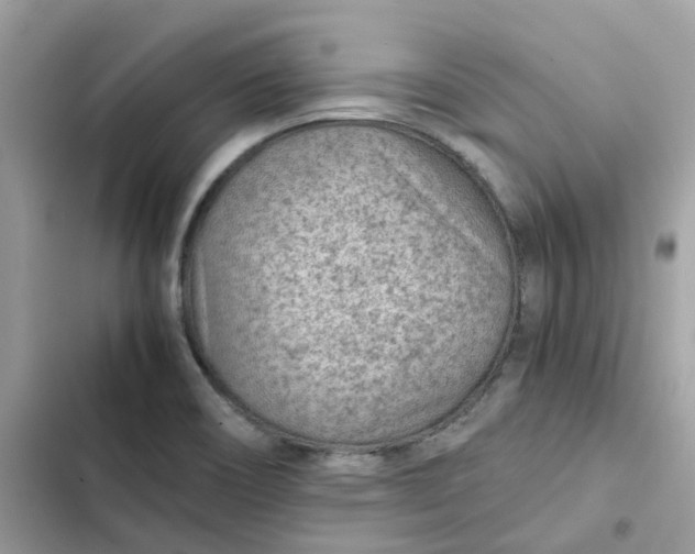 X0000102381466200808151847