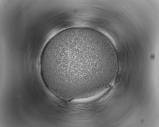 X0000102381467200808151847