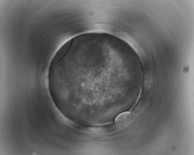 X0000102381468200808151847