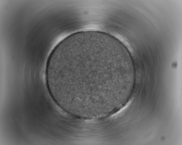 X0000102381469200808151847