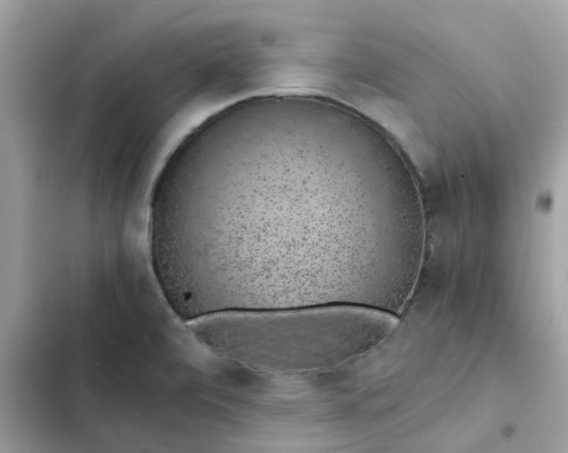 X0000102381472200808151847