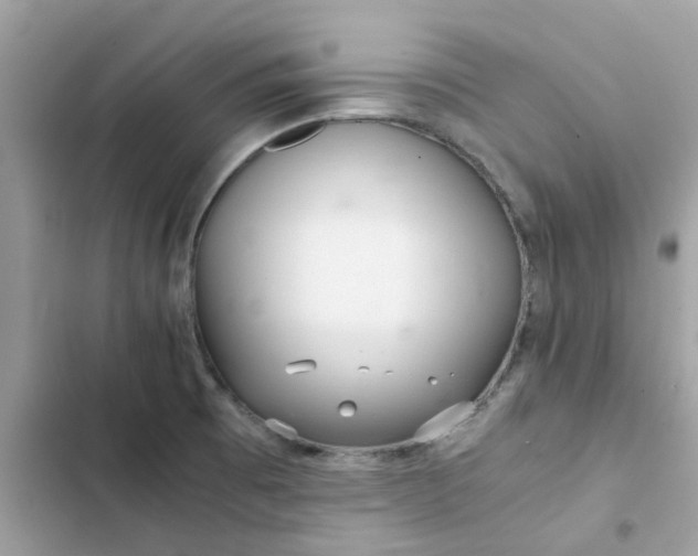 X0000102381473200808151847