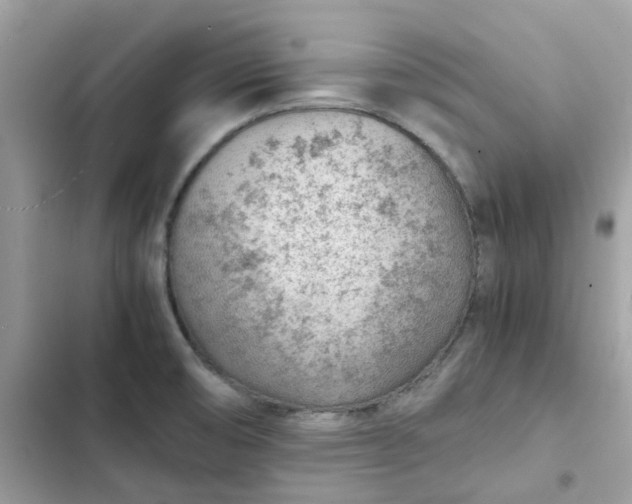 X0000102381474200808151847