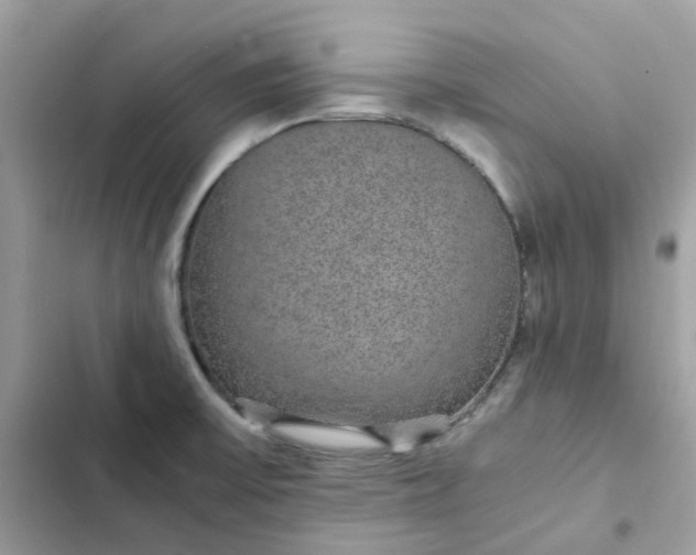 X0000102381475200808151847