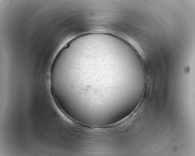 X0000102381476200808151847