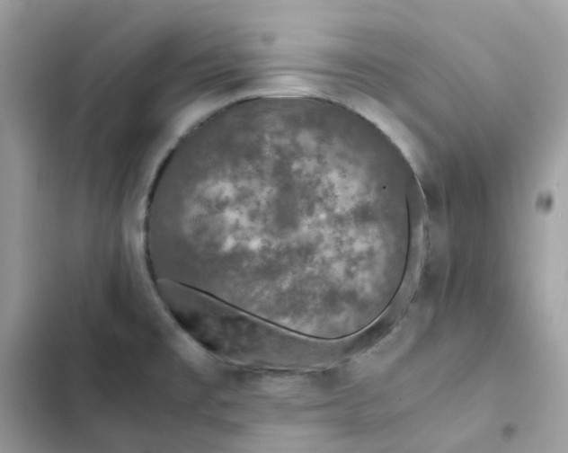 X0000102381477200808151847