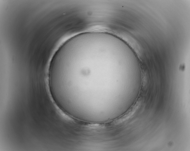 X0000102381478200808151847