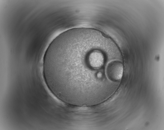 X0000102381479200808151846