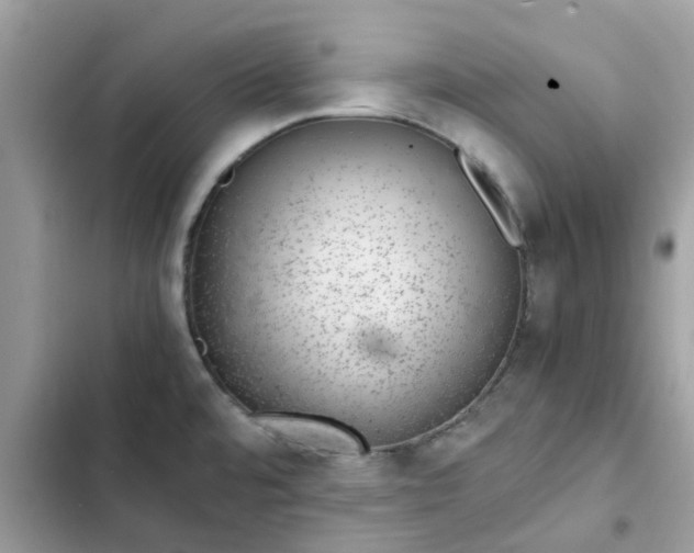 X0000102381480200808151846