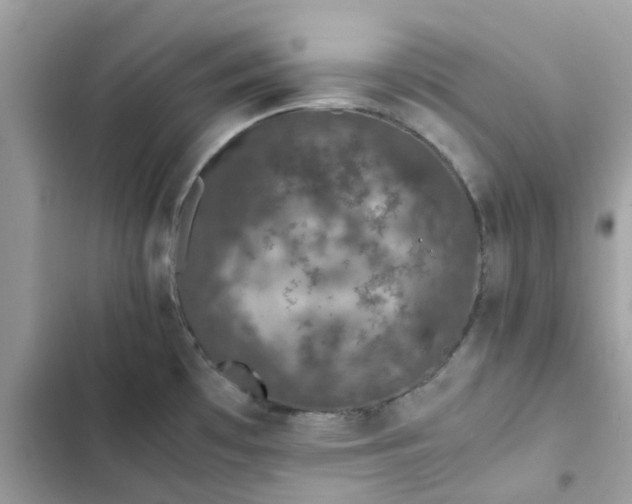 X0000102381481200808151846