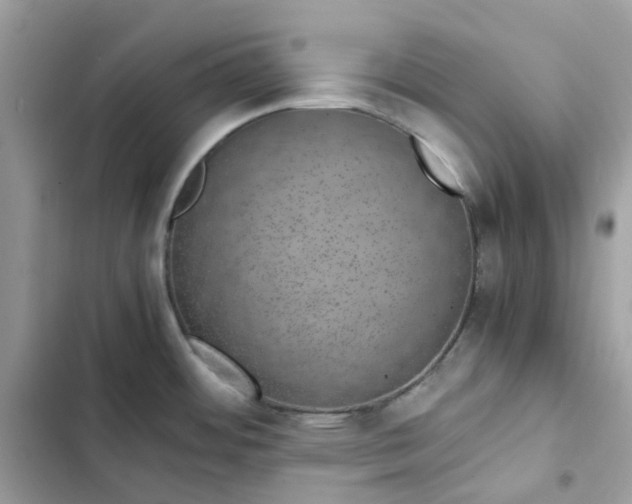 X0000102381484200808151846