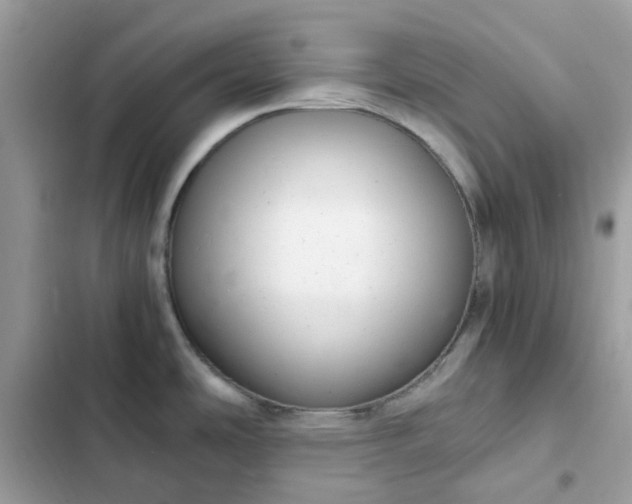 X0000102381486200808151846